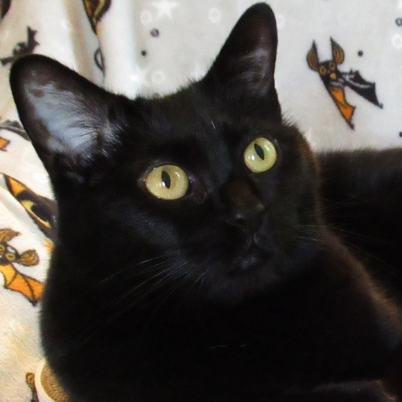 Meet your Posher, Beth - Picture 1 of 2